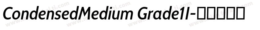 CondensedMedium Grade1I字体转换